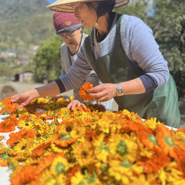 盞光深山精油洗髮