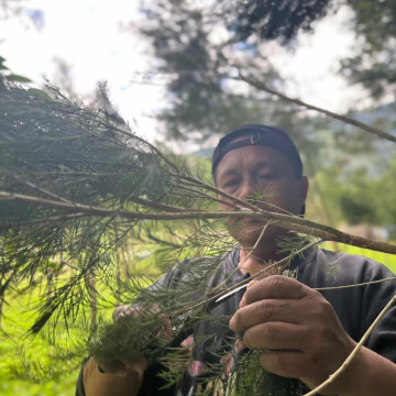 盞光深山精油洗髮