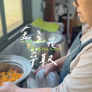 金盞花植物精華柔敏化妝水(250ML)