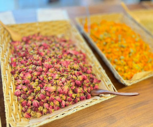 金盞花茶/花醬/蛋捲