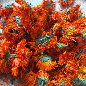 金盞花乾燥花 （25g）