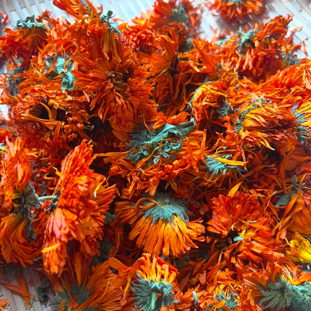 金盞花乾燥花 （25g）